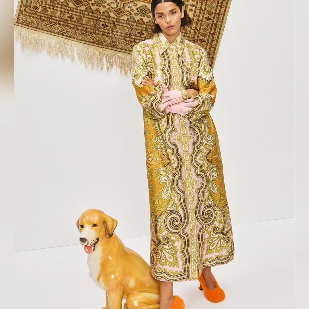 Alemais Clemenza Silk Shirtdress - Mult - Picture 1 of 16